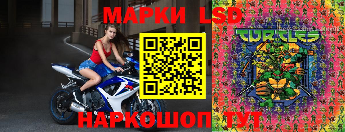 Наркотические марки 1500мкг  Вход с VPN  Марки 25I-NBOMe  Тамбов 