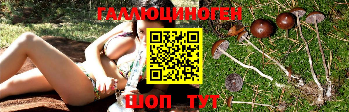 Тамбов  Псилоцибиновые грибы прущие грибы  Вход с VPN 