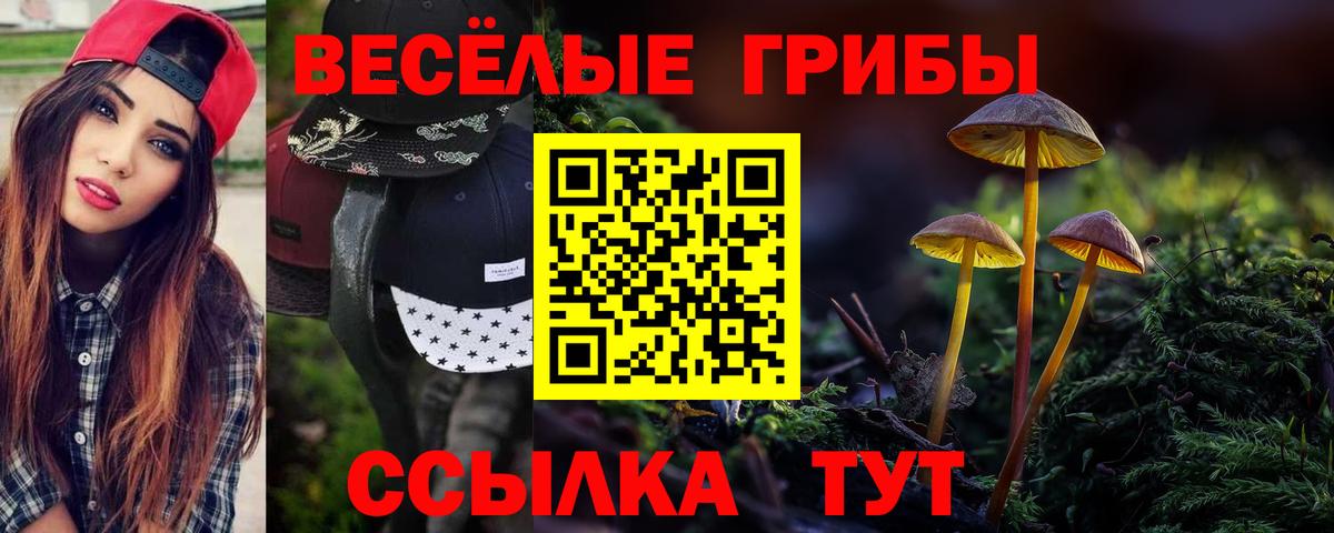 Альфа ПВП Тамбов